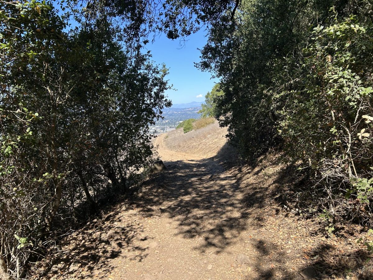 Taylor Mountain: A Review of the Sonoma Academy icon