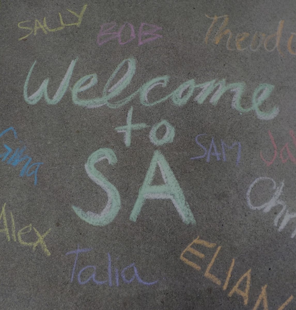 An All-Star’s Guide to Starting Sonoma Academy