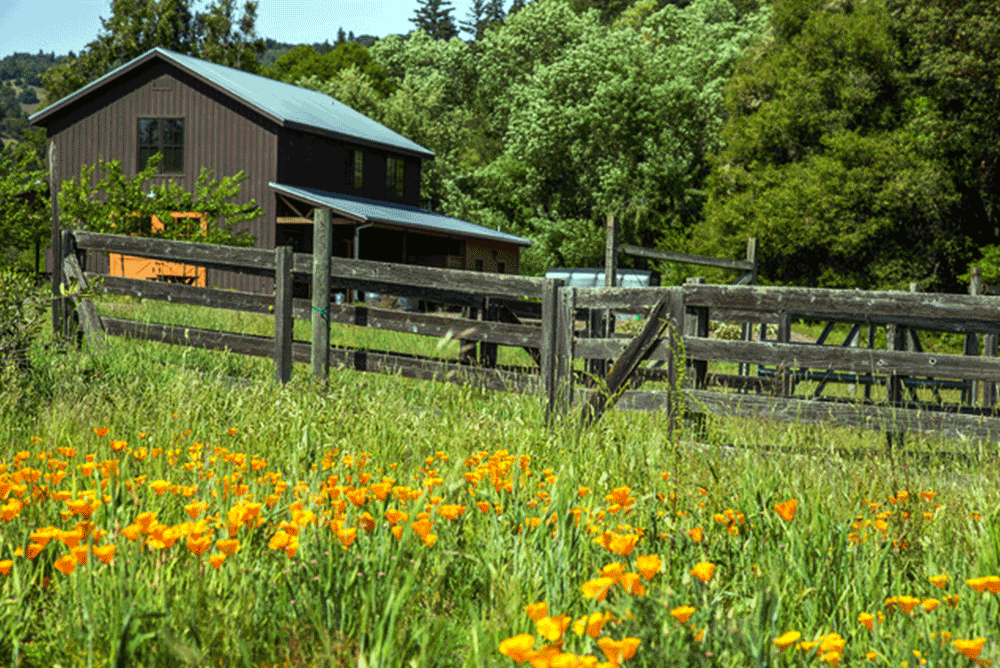 Whisper Tree Barn