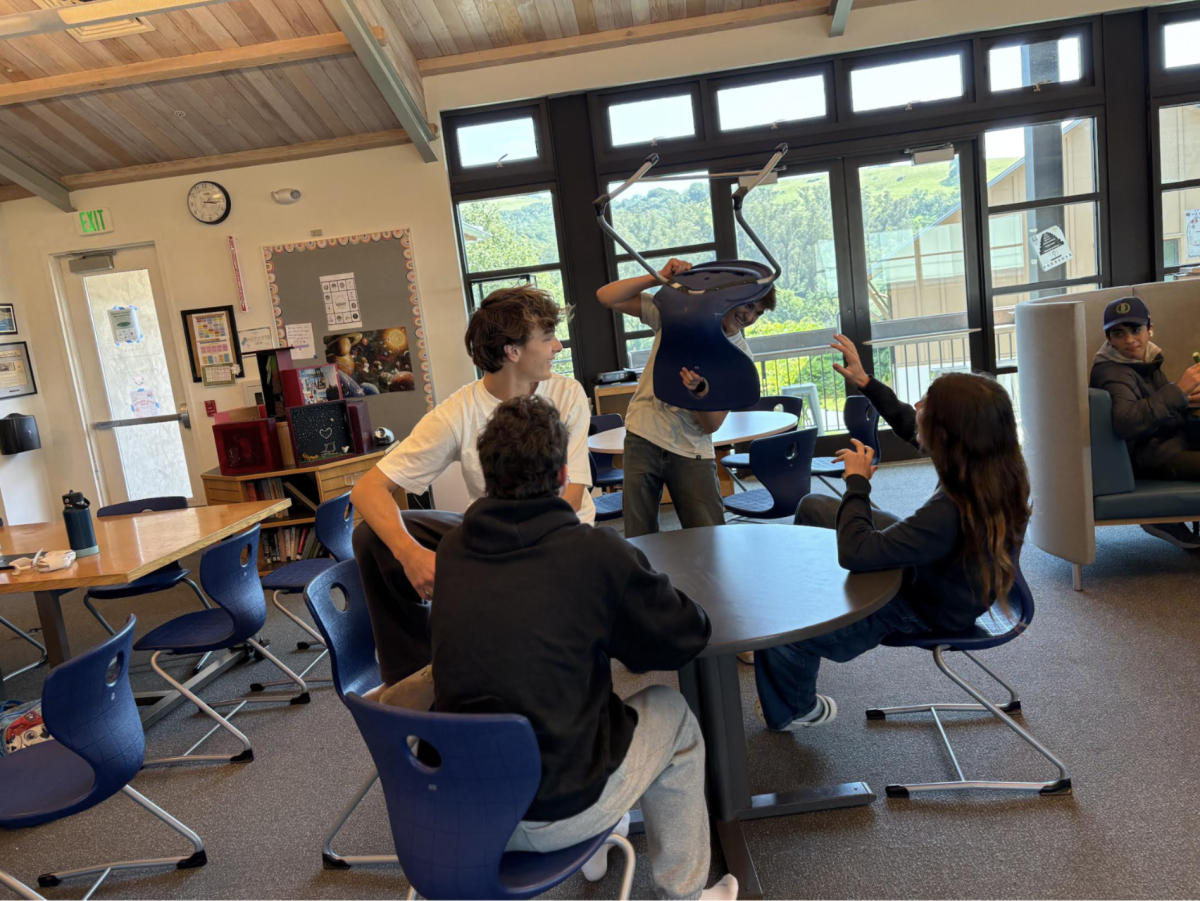 Sonoma Academy's library or our local zoo?